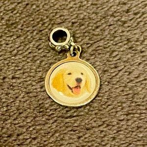 Lab Retriever Charm